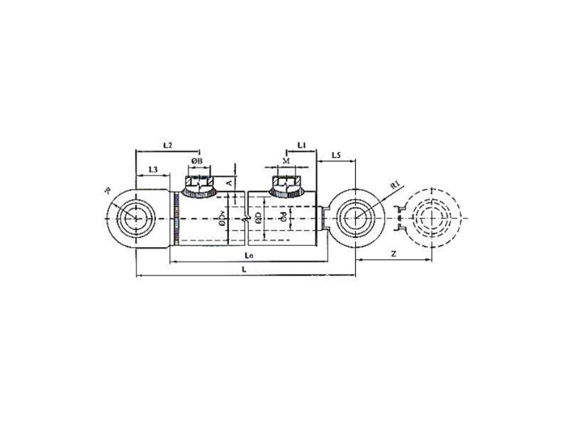 Hydromotor priamočiary HM1.2 40/22/250 - 111A111