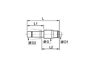 Schema_3666