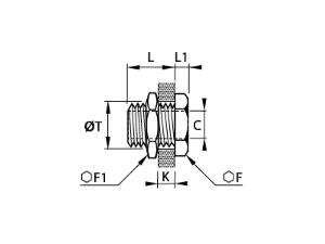 Schema_0117