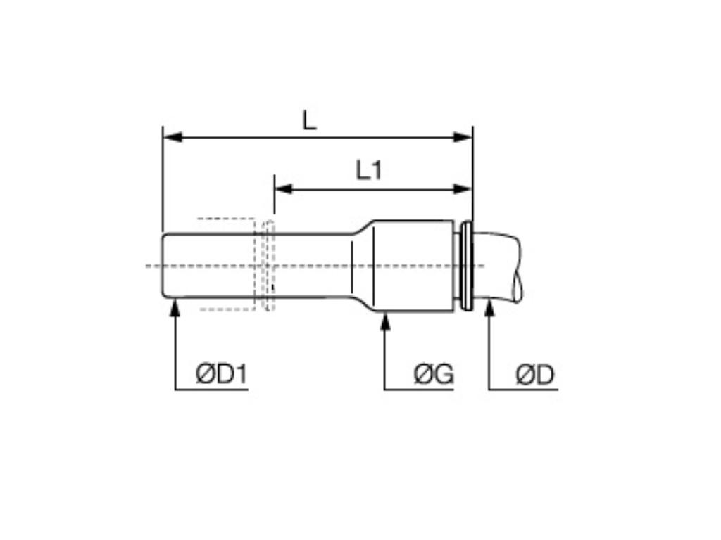 Schema_6366