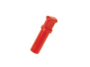 Foto_3126