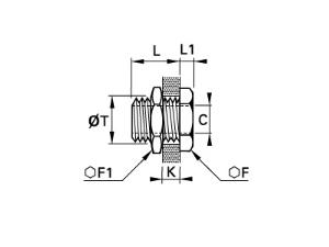Schema_1871